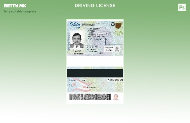 Модерен стил USA Ohio DL шаблон